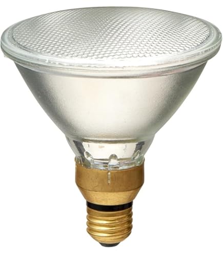 東芝 屋外用 ビームランプ 散光形 100W形 BRF110V80W　10コ Amazon | 東芝 屋外用 ビームランプ 散光形 100W形 BRF110V80W